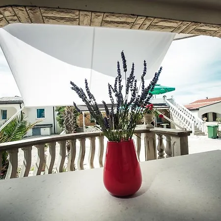 Apartment Zitna Vir